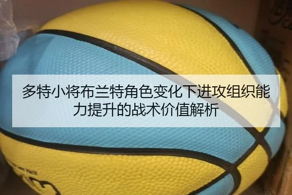 多特小将布兰特角色变化下进攻组织能力提升的战术价值解析（leyu）