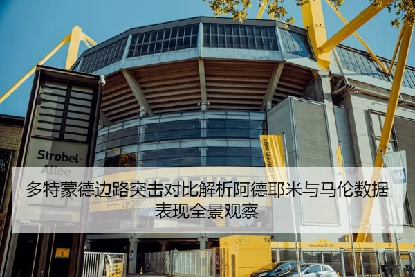 多特蒙德边路突击对比解析阿德耶米与马伦数据表现全景观察（leyu）